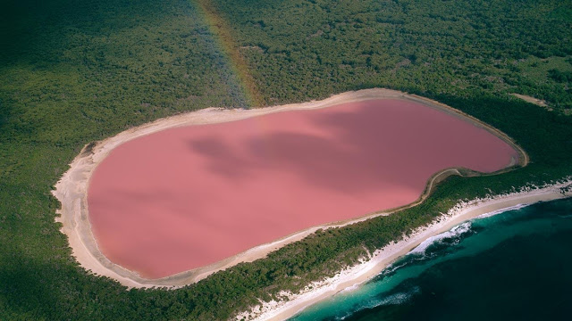 danau hillier