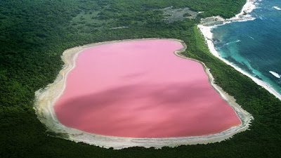 danau hillier