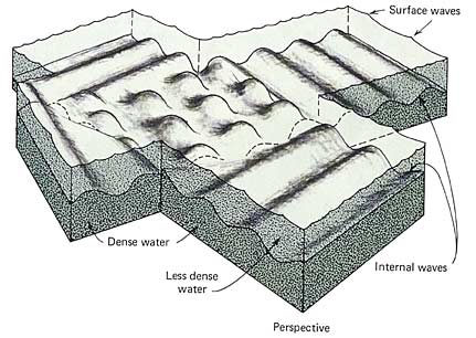 Fenomena Alam di Dasar Laut