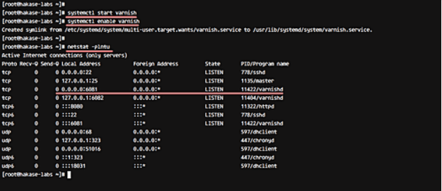 Tutorial Install Varnish Cache di CentOS 7