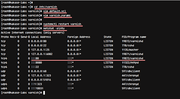 Tutorial Install Varnish Cache di CentOS 7