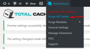 purge all cache