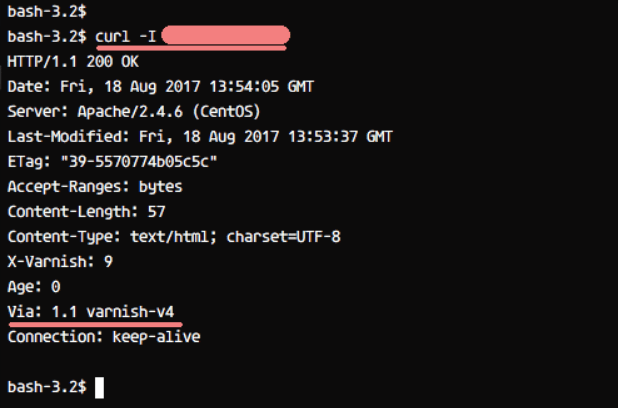 Tutorial Install Varnish Cache di CentOS 7
