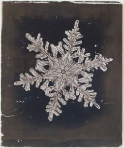 Fotografi Kepingan Salju Pertama di Dunia